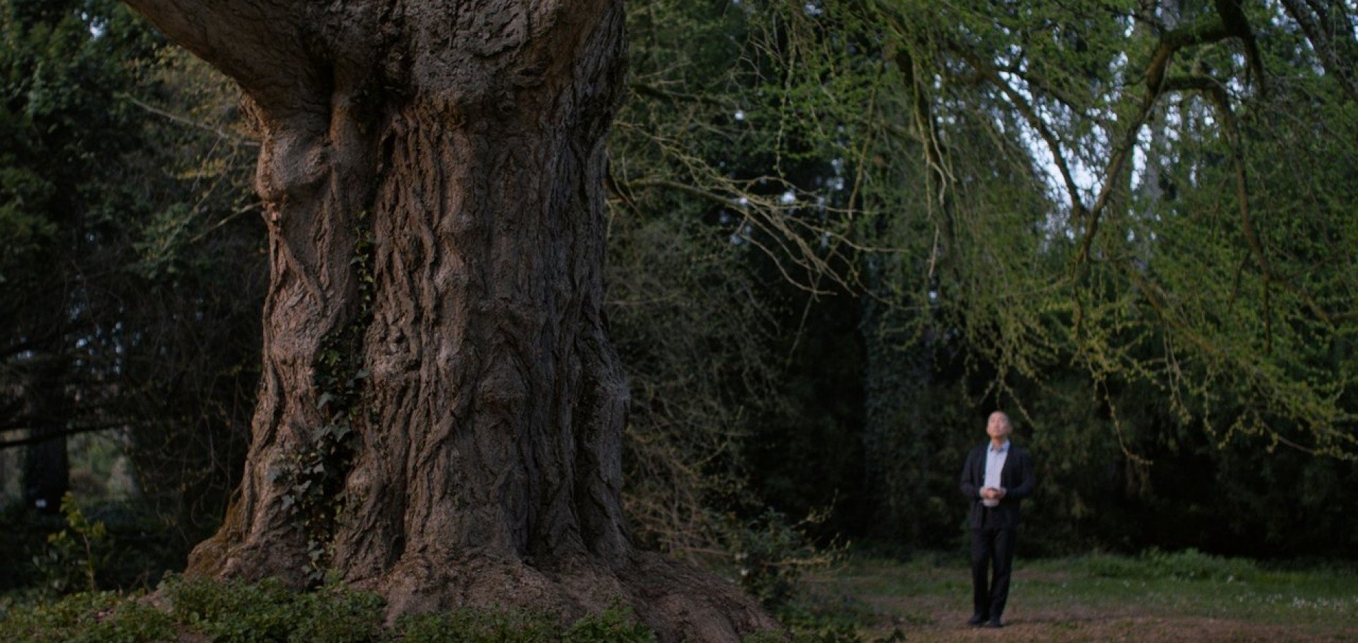 actualité silent friend