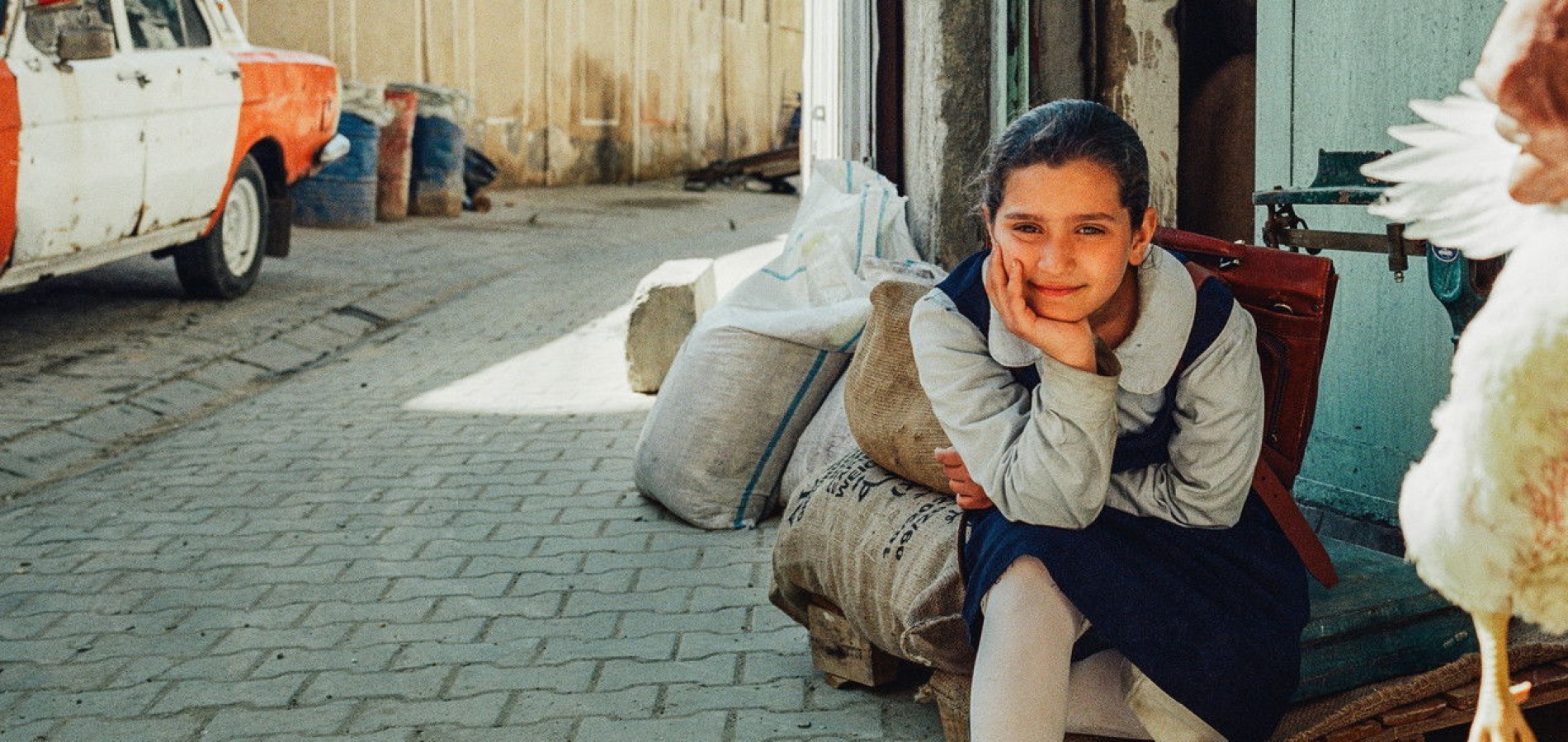 actualité le gateau du president