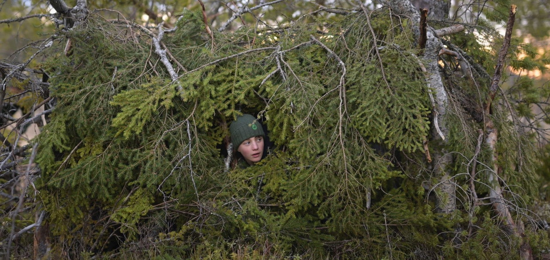 actualité le chant des forets